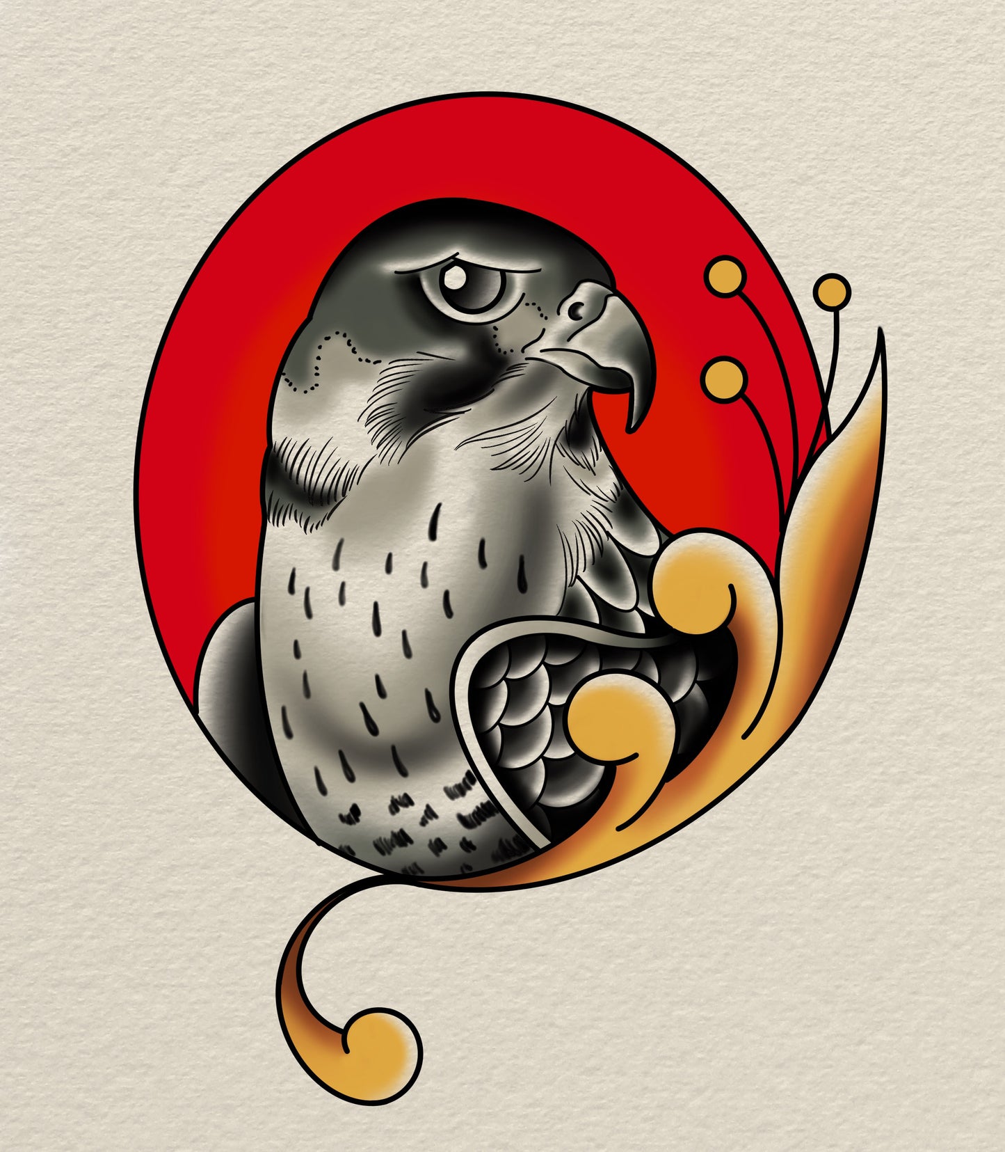 Hawk