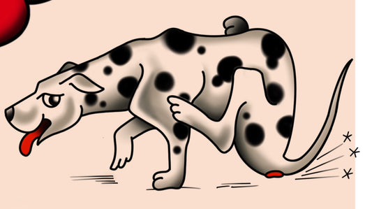 Dalmation problem
