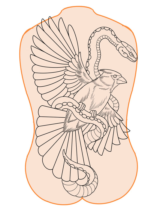 Cardinal and snake