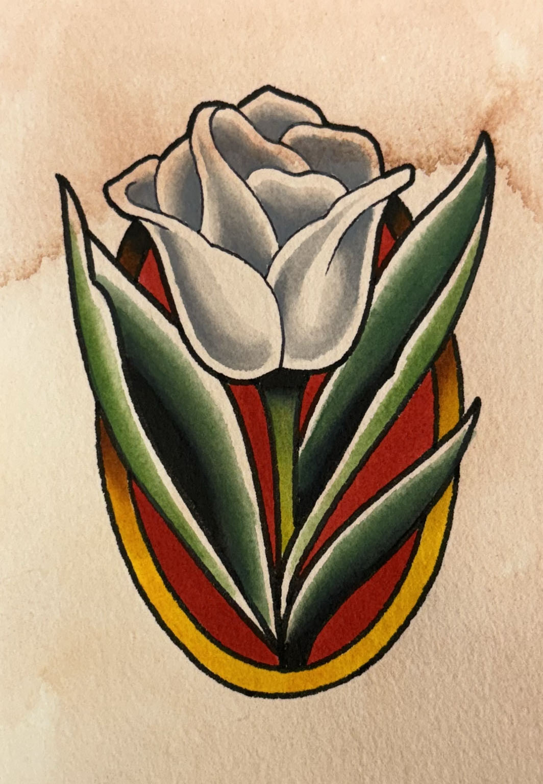 Tulip