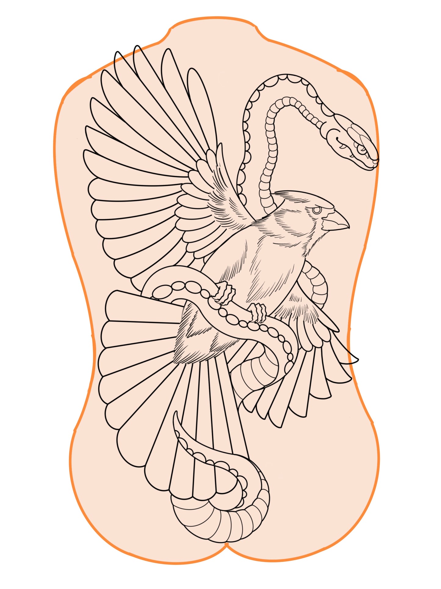 Cardinal and snake