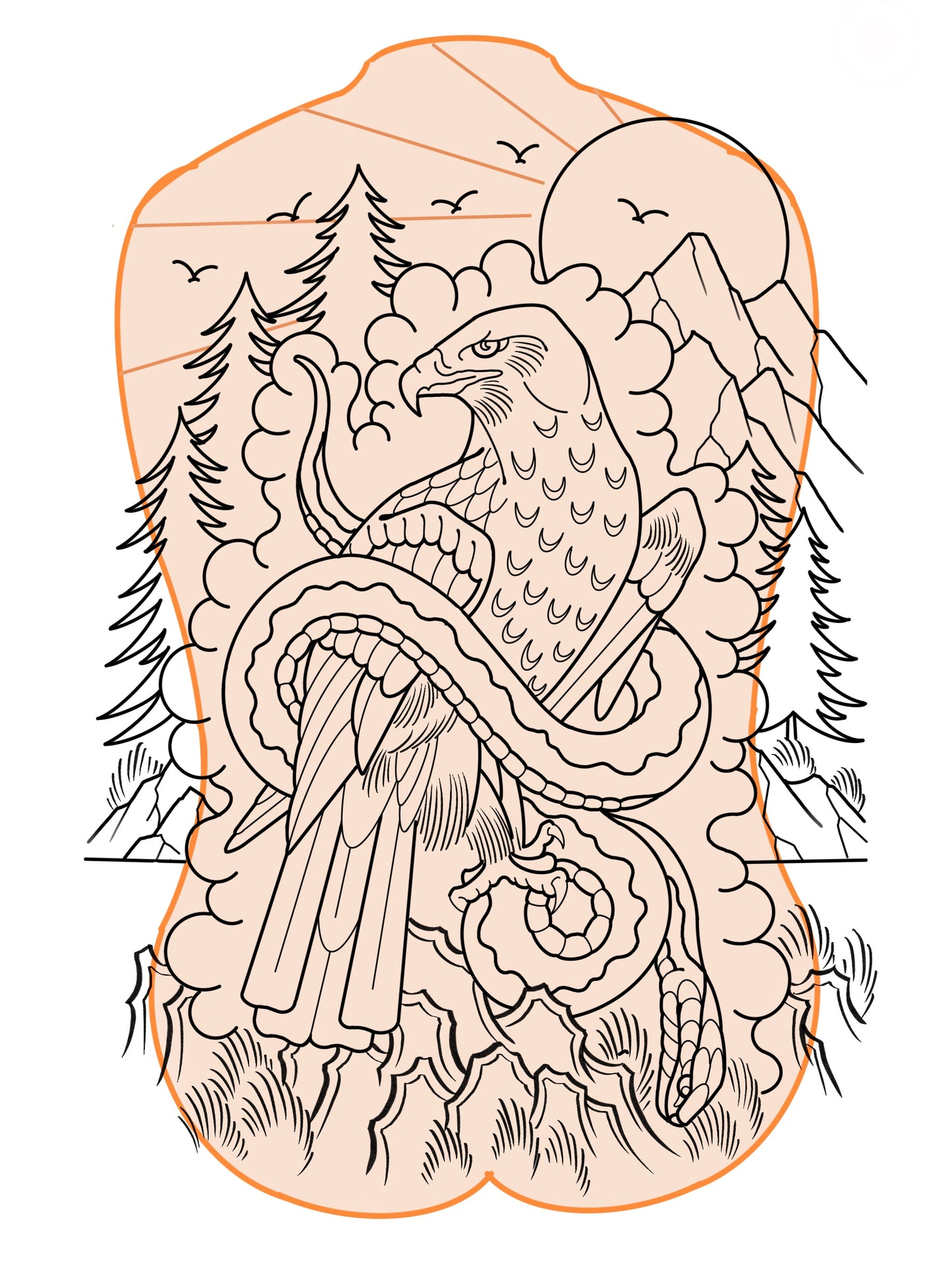 Mountain hawk
