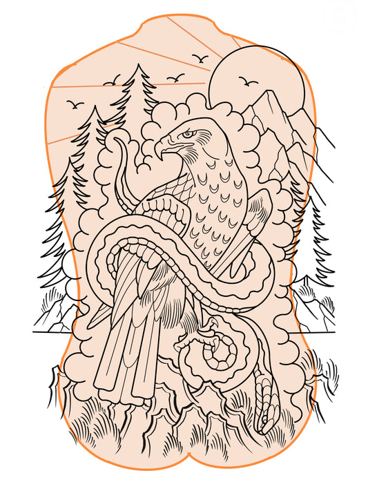 Mountain hawk