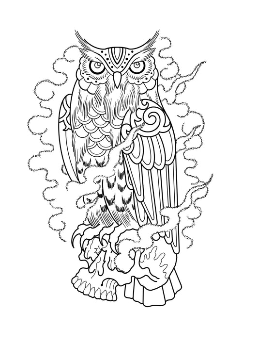 owl and skull