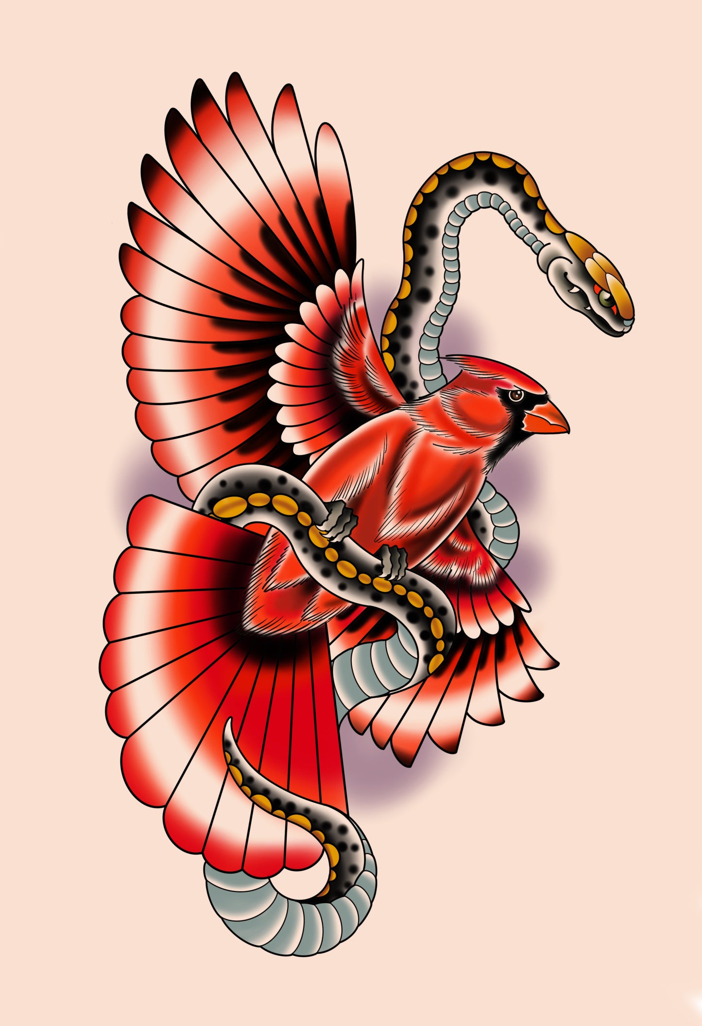 Cardinal vs Snake